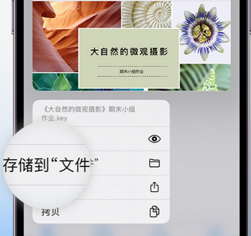 双辽apple维修中心分享iPhone文件应用中存储和找到下载文件