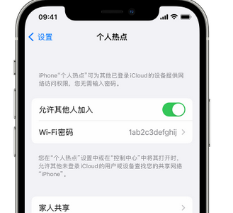 双辽apple服务站点分享iPhone上个人热点丢失了怎么办 