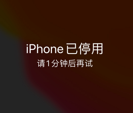 双辽苹果手机维修分享:iPhone 显示“不可用”或“已停用”怎么办？还能保留数据吗？ 