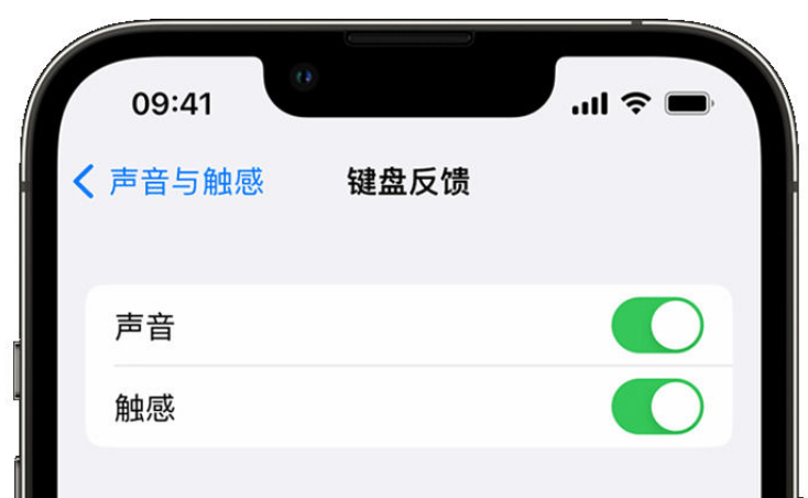 双辽苹果手机维修分享iPhone 14触感键盘使用方法 