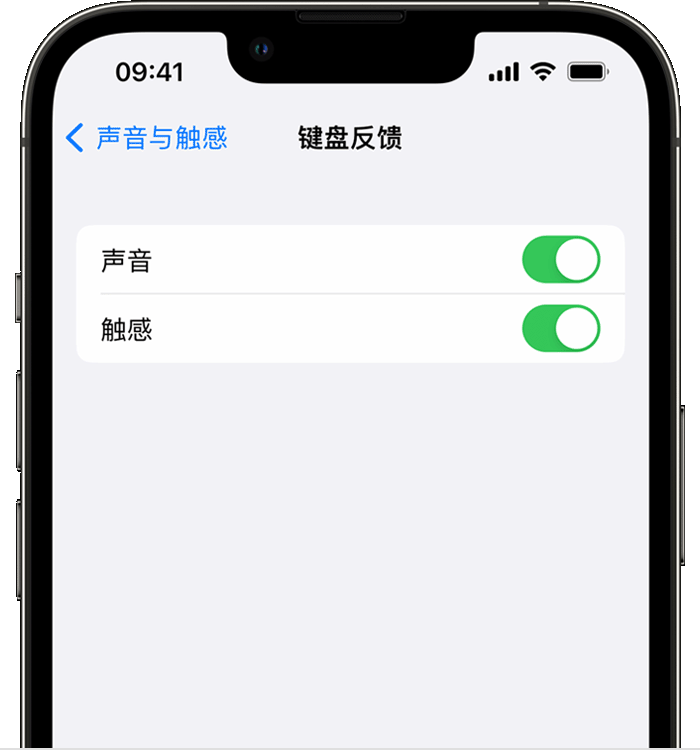 双辽苹果14维修店分享如何在 iPhone 14 机型中使用触感键盘 