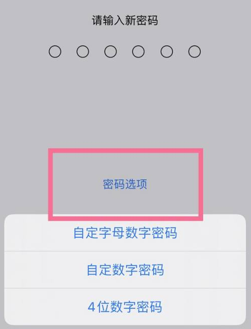 双辽苹果14维修分享iPhone 14plus设置密码的方法 