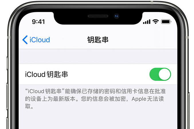 双辽苹果手机维修分享在 iPhone 上开启 iCloud 钥匙串之后会储存哪些信息 