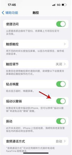 双辽苹果手机维修分享iPhone手机如何设置摇一摇删除文字 